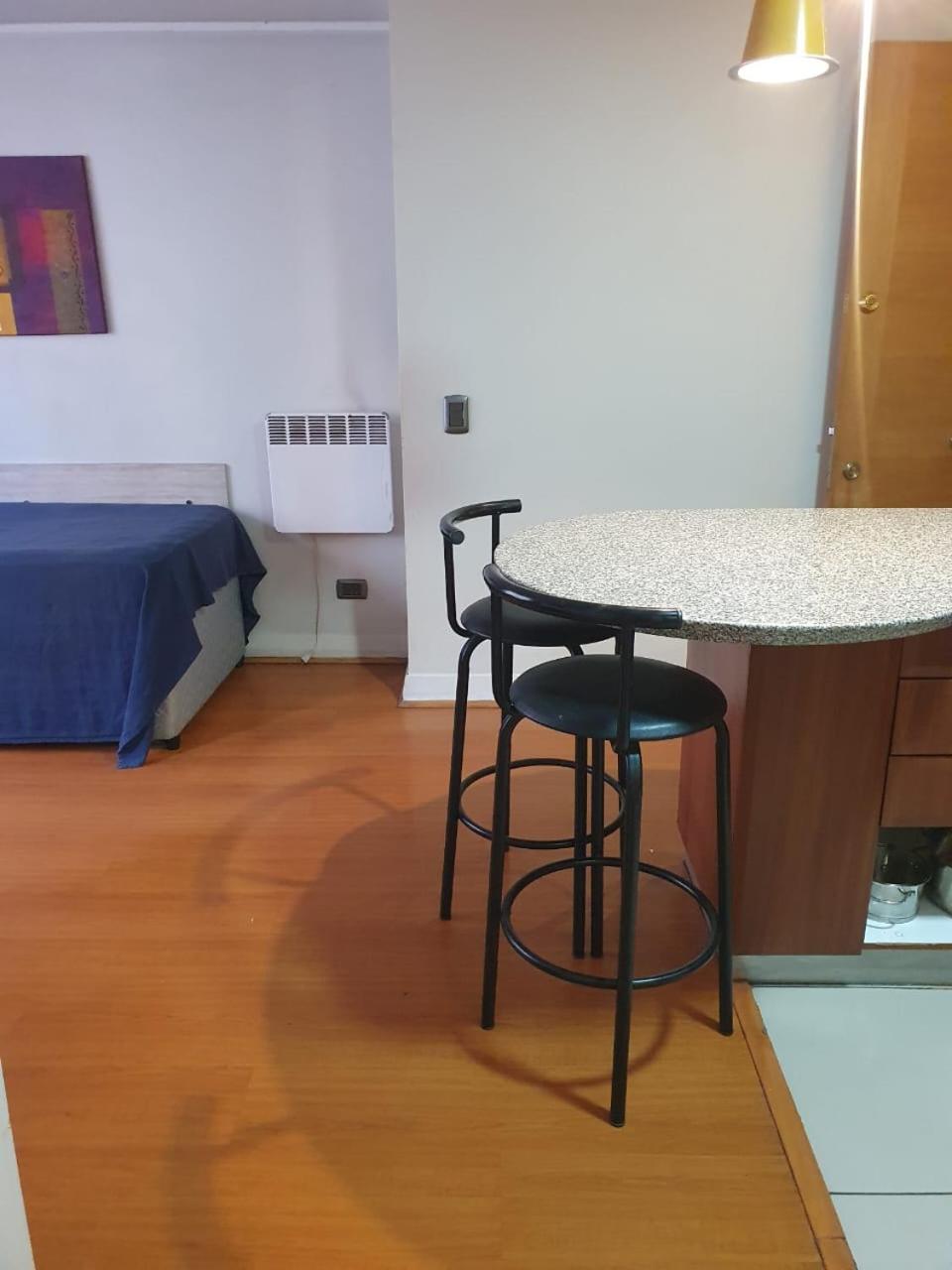 Departamento En El Corazon De Providencia, Entre Metro Leones Y Pedro De Valdivia Appartamento Santiago del Cile